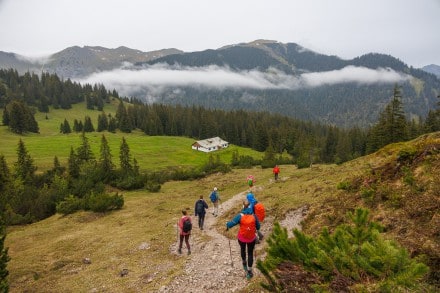Tour: Vom Kuhkarjoch auf dem Ochsenälpelekopf 