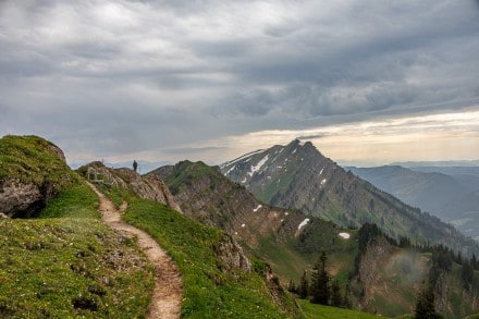 Oberallgu: Hhen- Gratweg (Gunzesried)