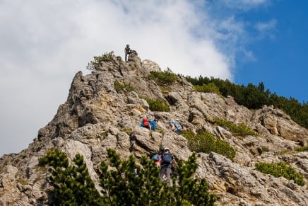 Tirol: Vom Niederjoch zum Ziegerstein bzw. Kohlbergspitze (Bichlbach)