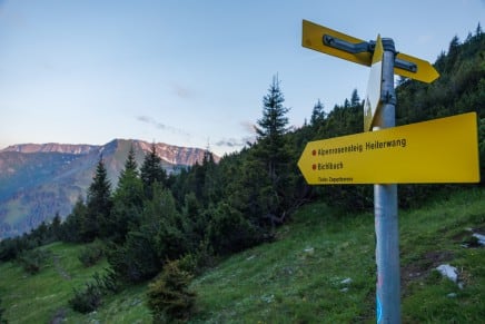 Tirol: Alpenrosensteig (Bichlbach)