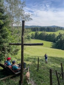 Westallgäu: Gipfelkopfspitz (Wengen)