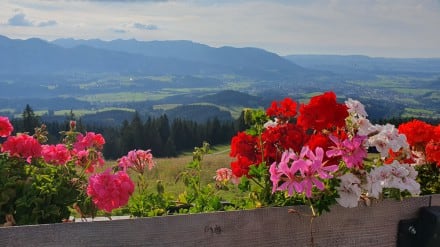 Wasserfall-Magie & Alpenglück: Vom Hinanger Wasserfall zur Alpe Altstädter Hof
