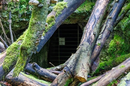 Ries: Paulinenhöhle (Neresheim)