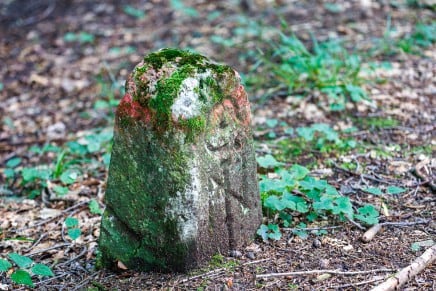 : 