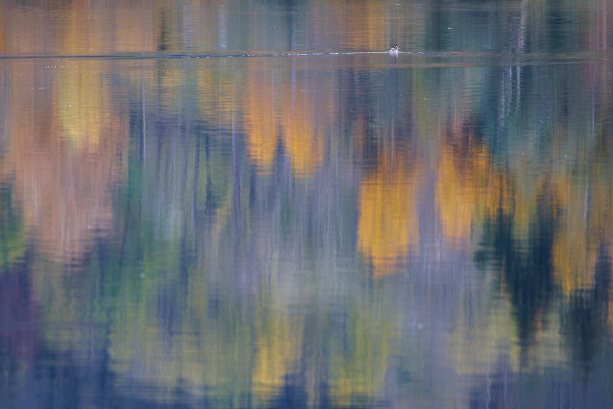 Wanderung Bannwaldsee & Forggensee ab Karbrücke (Schwangau - Allgäu / 2024)