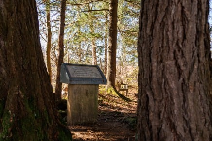 Tour: Spaziergang zum Burgstall Wertach ab St. Sebastian
