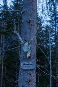 Amergauer Berge: Brücke am Gweih (Griesen (Oberbay))