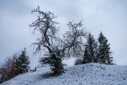 Tour: Zwischen Herrgottsbeton und Bischofsstab: Die Geheimnisse des Seeger Sulzbergs
