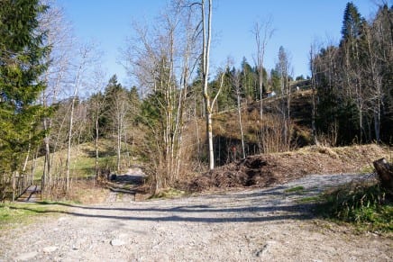 Die Kokanten-Wanderung auf den Hündlekopf bei Oberstaufen