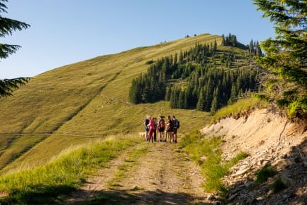 Tour: Jungholzer Panorama-Runde: Über den Höhenweg zur Alpe Reuterwanne und den Pfeifferberg