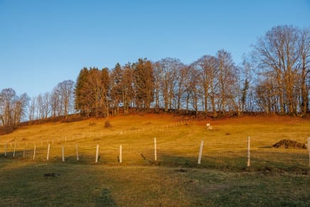 Tour: Historischer Heinrichweg: Burgstall Wachsenegg und Schwedenschanze am Sulzberg