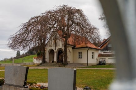 Historische Runde Haldenwang: Römerstraße, Burgstall und Ruine Wagegg