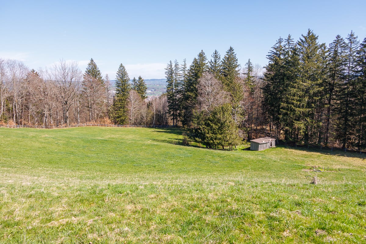 Historischer Mariaberg: Wallfahrtskirche und Burgställe im Kalbsangsttobel (Kempten - Allgäu / 2025)
