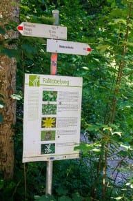 Wanderung Stoffelberg: Falltobel-Wasserfall, Burgstall Hof und Berggasthof Alpblick