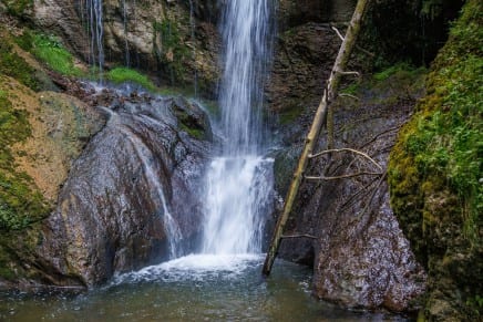 Tour: Wanderung Stoffelberg: Falltobel-Wasserfall, Burgstall Hof und Berggasthof Alpblick