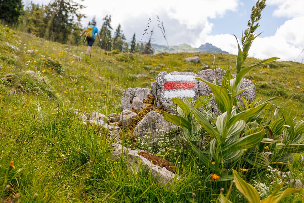 Gottesacker-Plateau: Geologischer Rundweg, Hahnenköpfle und Iferalpe (Sibratsgfäll - Voralberg / 2025)