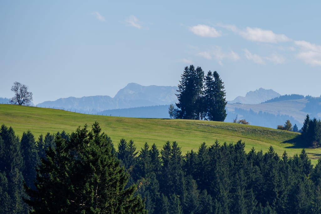 Wanderung Hellengerst: Speckbachtobel, Rohrbachtobel, Moorgebiet & historischer Burgstall (Hellengerst - Oberallgäu / 2025)