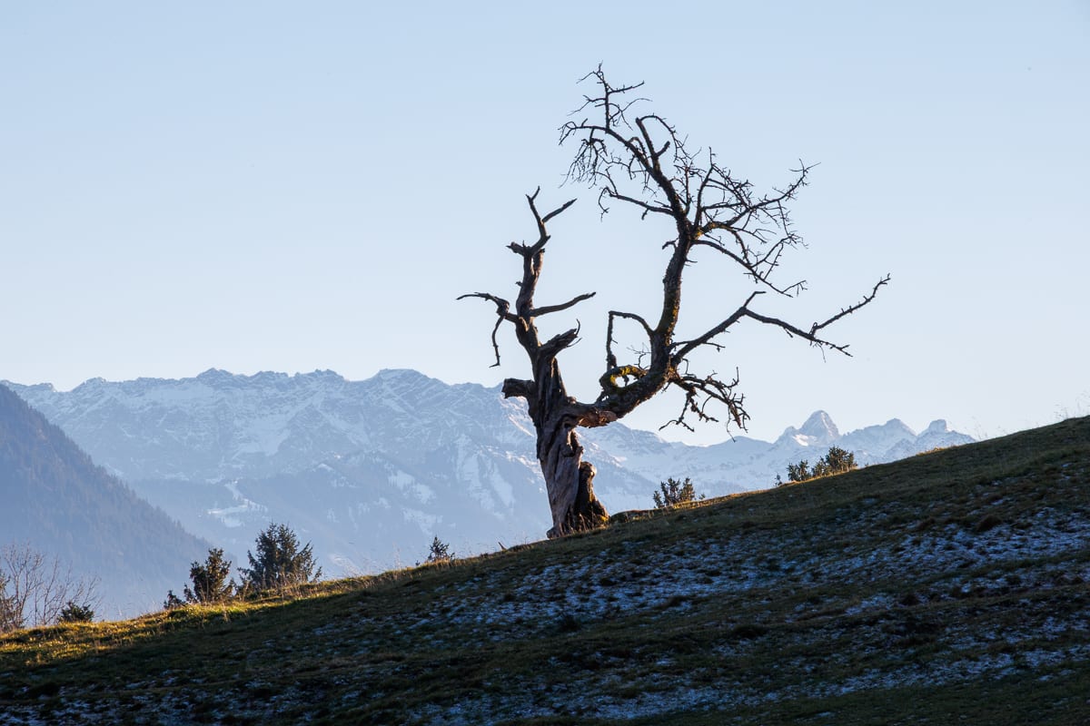 Wanderung Niedersonthofner See: Ettliser Burghalde & Gnadenkapelle (Niedersonthofen - Oberallgäu / 2025)
